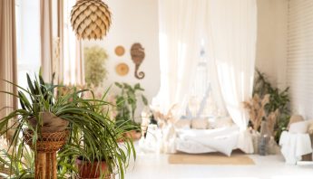 Boho-inspired interior painting in Naples FL with eclectic residential color palettes